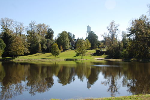 A knoll overlooks a lake. There are trees along the lakeside and water tower in the background.