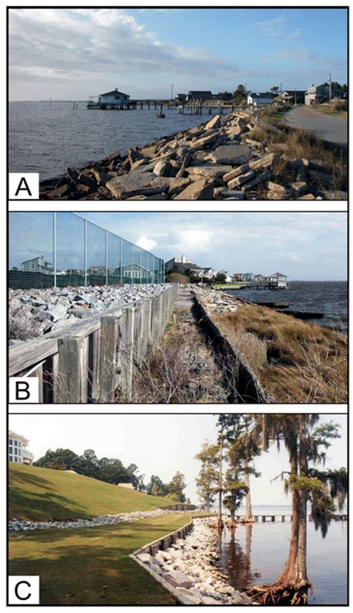 <img typeof="foaf:Image" src="http://statelibrarync.org/learnnc/sites/default/files/images/1_36.jpg" width="513" height="890" alt="Hardened structures along sediment-bank estuarine shorelines " title="Hardened structures along sediment-bank estuarine shorelines " />