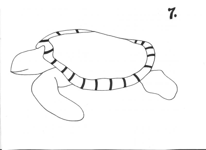 <img typeof="foaf:Image" src="http://statelibrarync.org/learnnc/sites/default/files/images/step_7.jpg" width="2338" height="1700" alt="Sea turtle drawing: step 7" title="Sea turtle drawing: step 7" />