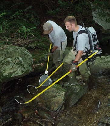 Catching brook trout