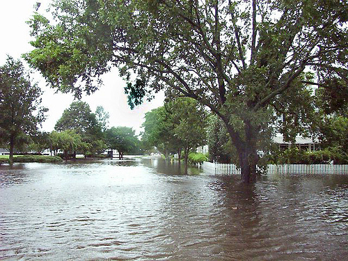 Hurricane Floyd aftermath in Edenton, NC