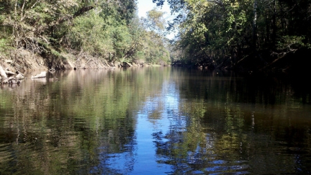 Photograph of the Deep River taken October 20, 2013, Chatham County, N.C.  From bobistraveling on FLICKR.  Used under Creative Commons License CC BY 2.0. 