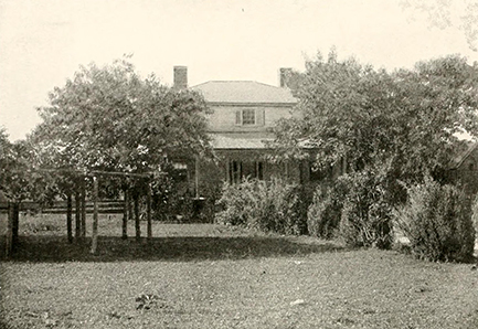 A two-story house with chimneys obscured by leafy trees in the foreground.