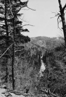 A glimpse of the canon [sic] from Pine Gap April 14, 1910 Frank W. Bicknell Photograph Collection, PhC.8, North Carolina State Archives, Raleigh, NC., call #:  PhC8_280.