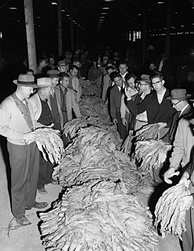 King Roberts and Everette Clayton Tobacco Warehouse sales, Fuquay Springs, NC, 1950's Left to right: Ernest Keith, tobacconist; King Roberts, leading sales; unknown; Everette Clayton. Second from right: James Barrett Utley, tobacco buyer. From the Heulon Dean Photo Collection, PhC.133, North Carolina State Archives, call #:  PhC133_1957_293. 